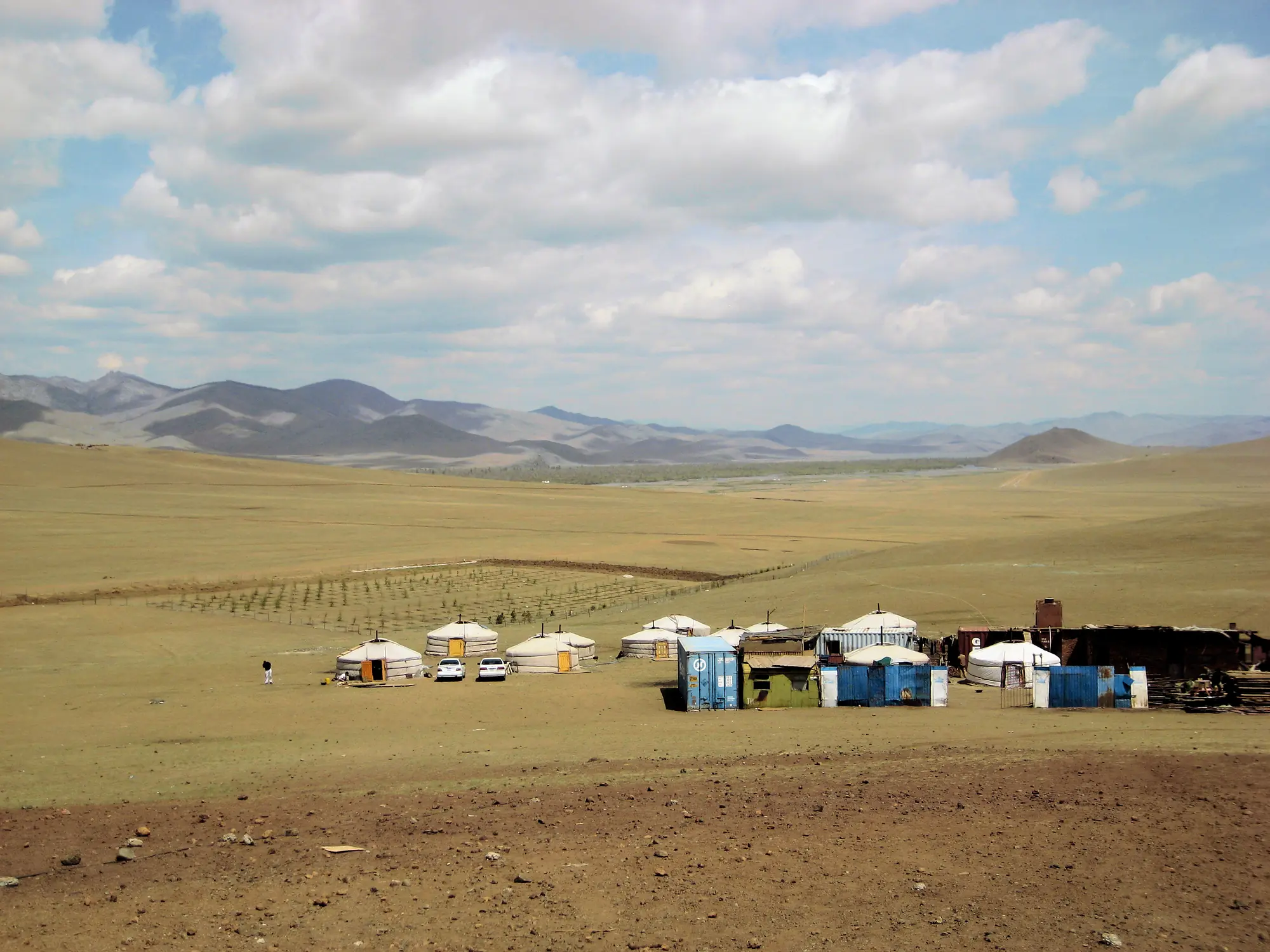 Campement dans la steppe mongole